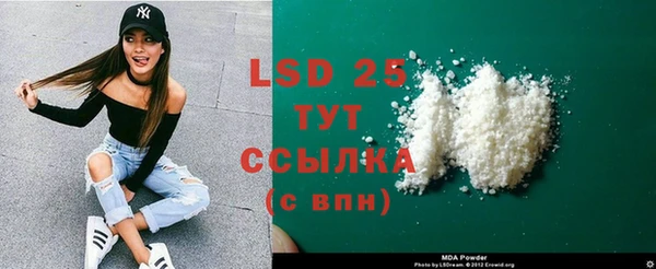 PSILOCYBIN Чекалин
