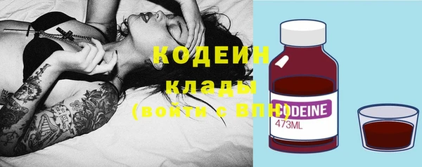 индика Шарыпово