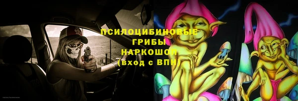 прущие грибы Шадринск