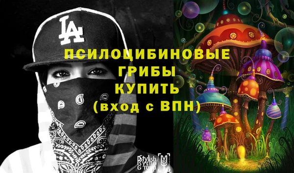 индика Шарыпово