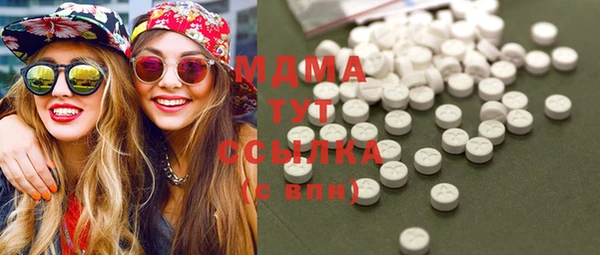 индика Шарыпово