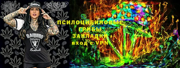 PSILOCYBIN Шали