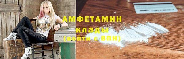 прущие грибы Шадринск