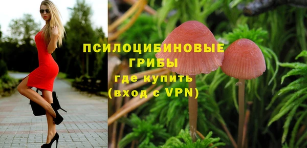 индика Шарыпово