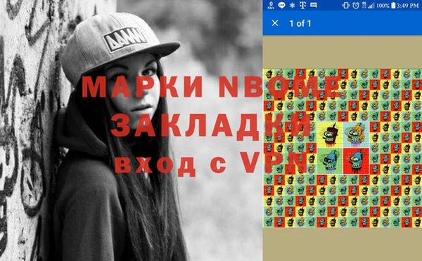 прущие грибы Шадринск