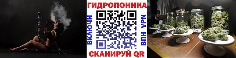 Конопля SATIVA & INDICA Чекалин